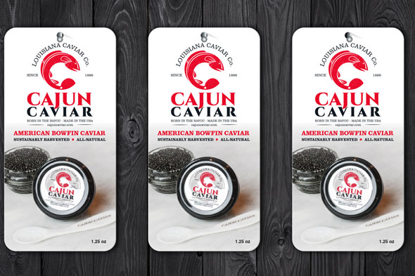 Sally Project Image 5