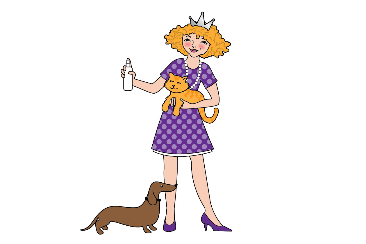 Sally Project Image 6