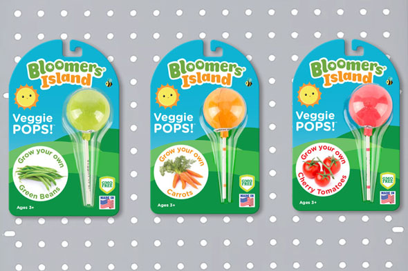 Sally Project Image 4